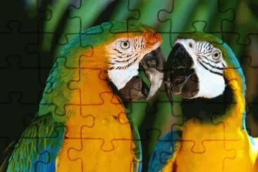 +*+ jigsaw puzzle