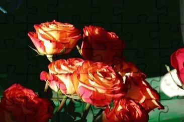  jigsaw puzzle