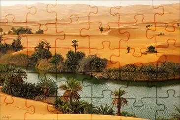 פאזל של **