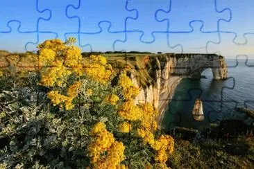 $$ jigsaw puzzle