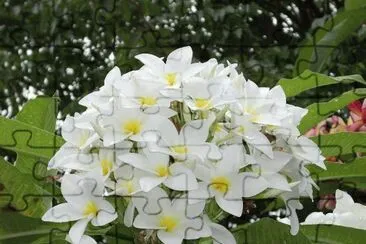 Â§
