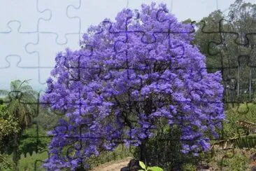 Âº