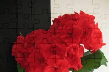 Gerani jigsaw puzzle