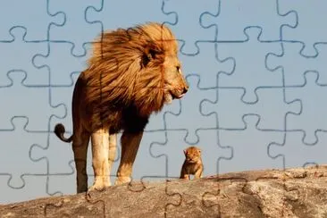 Lleons jigsaw puzzle