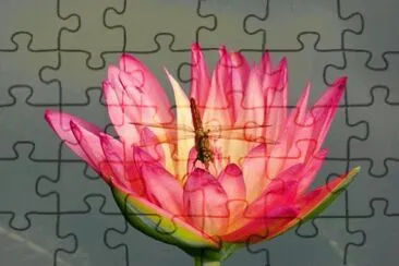 פאזל של Flor