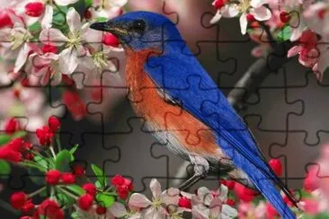 Blue Bird jigsaw puzzle