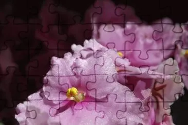  jigsaw puzzle