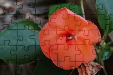 flores jigsaw puzzle