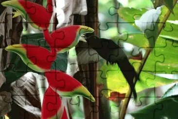  jigsaw puzzle