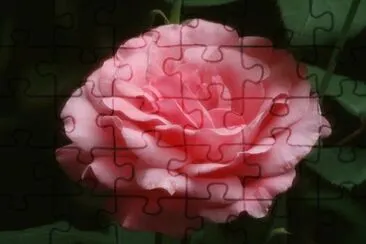  jigsaw puzzle