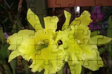  jigsaw puzzle
