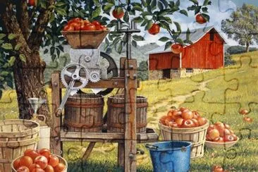 Cider time by Sandra McArdle