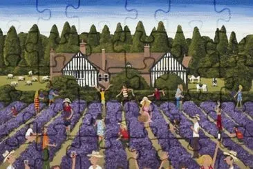 Lunchtime at the Lavender field