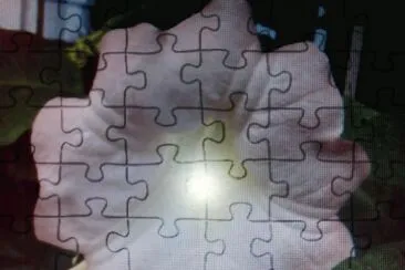  jigsaw puzzle