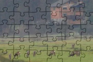 Srne jigsaw puzzle