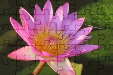  jigsaw puzzle