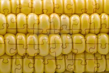 68 jigsaw puzzle