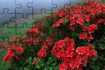 009é¢¨æ™¯å¤©æ–‡ jigsaw puzzle