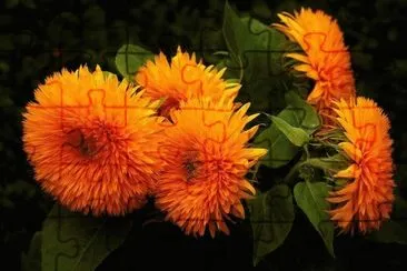 *** jigsaw puzzle