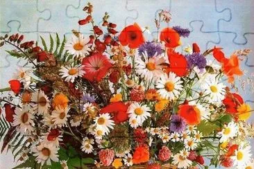 Flores