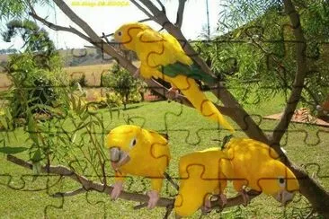 Âº