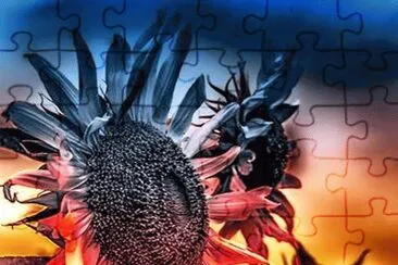  jigsaw puzzle