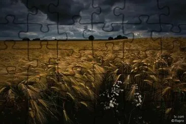 Â³Â£ jigsaw puzzle