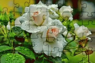 jigsaw puzzle