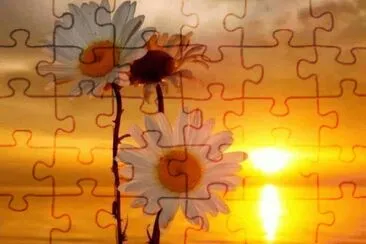  jigsaw puzzle