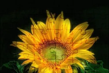  jigsaw puzzle