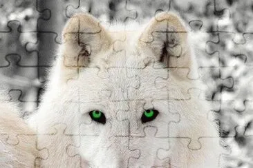 g jigsaw puzzle