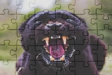 . jigsaw puzzle