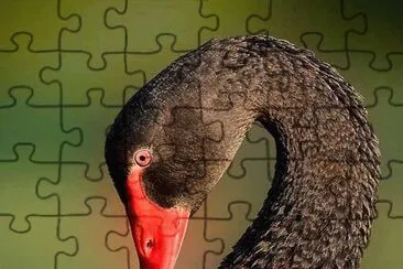 . jigsaw puzzle