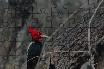 . jigsaw puzzle