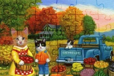 gatos