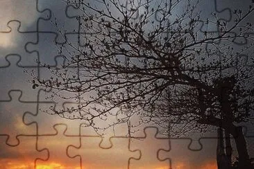 . jigsaw puzzle