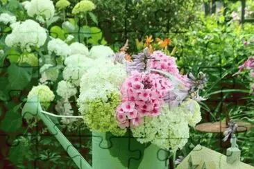  jigsaw puzzle
