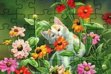 פאזל של flores