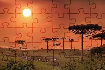 Natureza em SÃ£o Francisco de Paula jigsaw puzzle