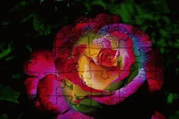 rose_lechantelein jigsaw puzzle