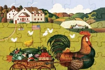 Rooster Express