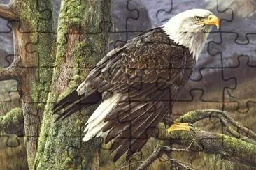 Pintura jigsaw puzzle