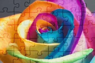 rose jigsaw puzzle