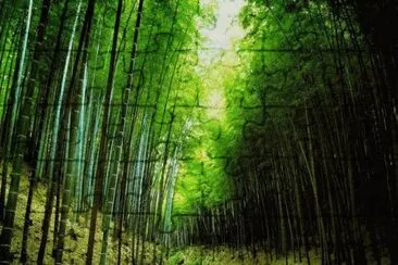 Bambu jigsaw puzzle