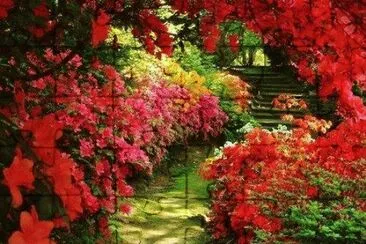 Flores jigsaw puzzle