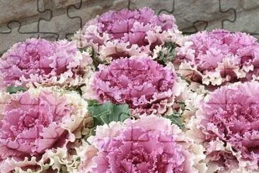Flores jigsaw puzzle