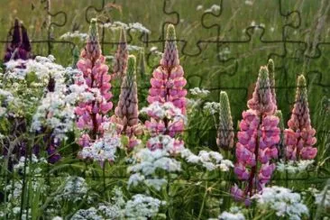 Flores jigsaw puzzle