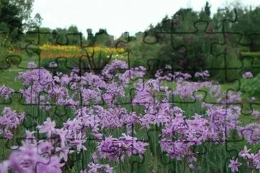 Flores jigsaw puzzle