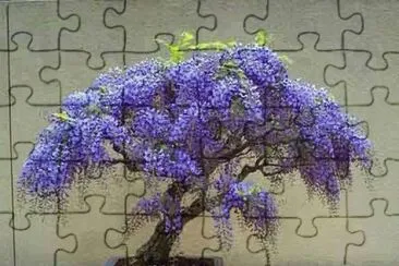 Flor jigsaw puzzle