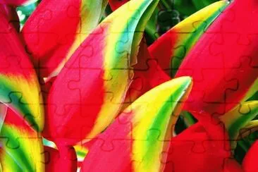 flor jigsaw puzzle